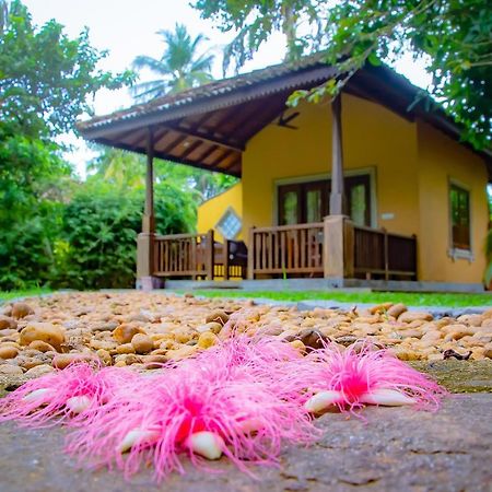 Birds Paradise Cabanas Unawatuna Luaran gambar