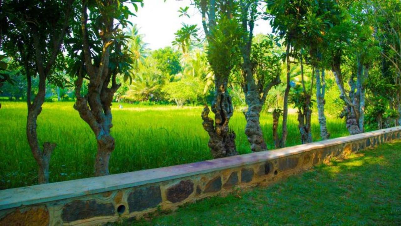 Birds Paradise Cabanas Unawatuna Luaran gambar