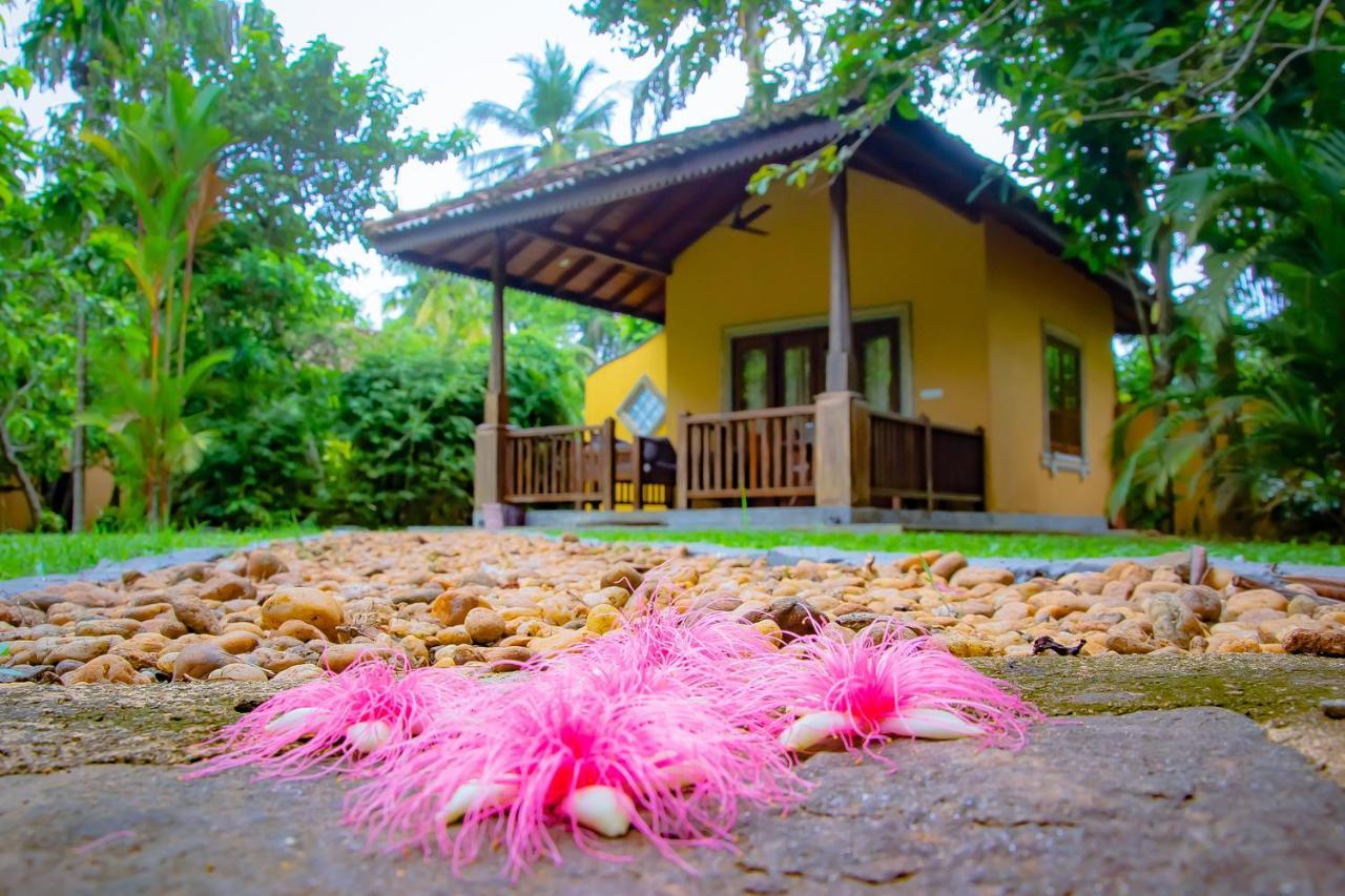 Birds Paradise Cabanas Unawatuna Luaran gambar
