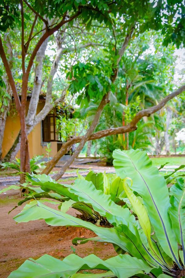 Birds Paradise Cabanas Unawatuna Luaran gambar