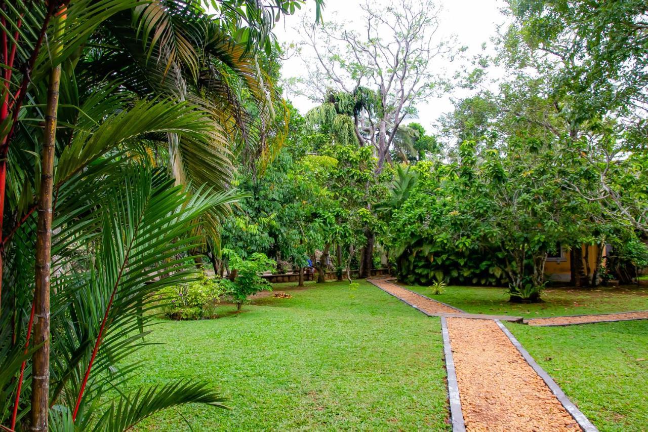 Birds Paradise Cabanas Unawatuna Luaran gambar